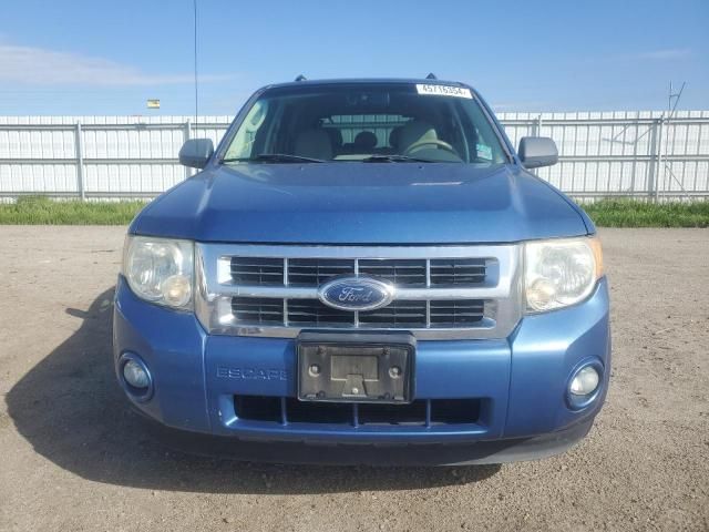 2009 Ford Escape XLT