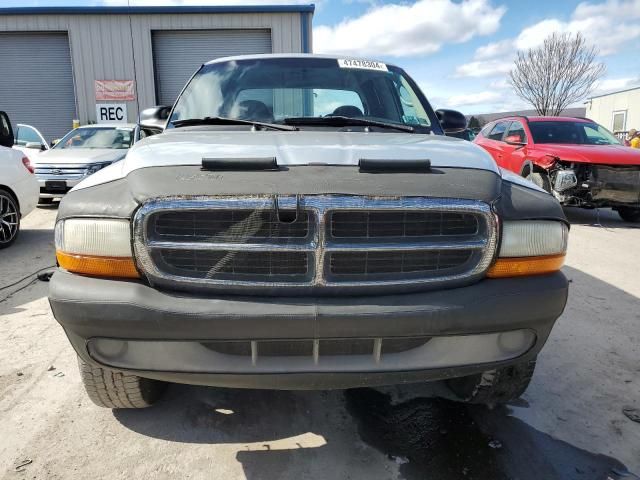 2001 Dodge Dakota Quattro