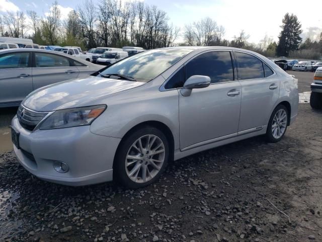 2010 Lexus HS 250H