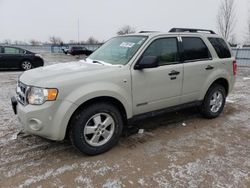 Salvage cars for sale from Copart Ontario Auction, ON: 2008 Ford Escape XLT