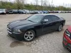 2013 Dodge Charger SE