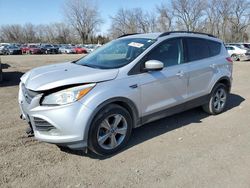 Ford Vehiculos salvage en venta: 2014 Ford Escape SE