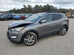 Salvage cars for sale at Harleyville, SC auction: 2013 Hyundai Santa FE Sport