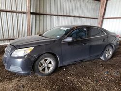 Chevrolet Vehiculos salvage en venta: 2013 Chevrolet Malibu LS