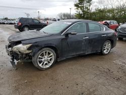 Salvage cars for sale from Copart Lexington, KY: 2010 Nissan Maxima S