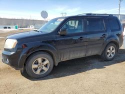 Salvage cars for sale at Bismarck, ND auction: 2011 Honda Pilot EXL