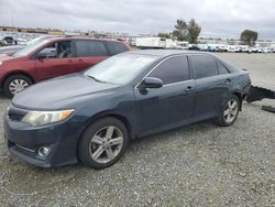 Salvage cars for sale from Copart Antelope, CA: 2013 Toyota Camry L
