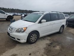 Salvage cars for sale at Harleyville, SC auction: 2009 Honda Odyssey EXL