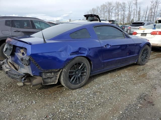 2013 Ford Mustang