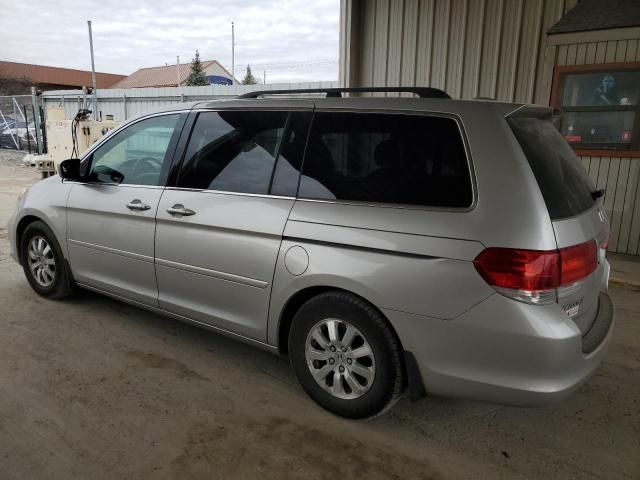 2009 Honda Odyssey EXL