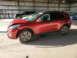 Salvage cars for sale at Phoenix, AZ auction: 2022 Ford Escape SEL