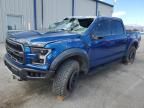 2018 Ford F150 Raptor