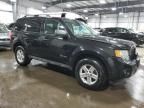 2011 Ford Escape Hybrid