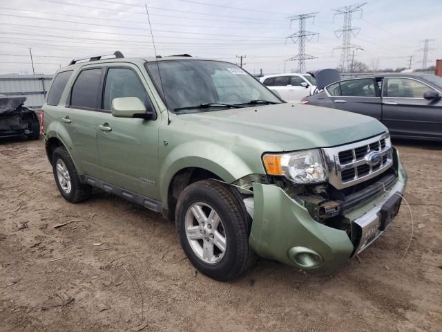 2008 Ford Escape HEV