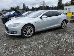Salvage cars for sale at Graham, WA auction: 2014 Tesla Model S
