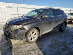 Lexus salvage cars for sale: 2010 Lexus RX 350