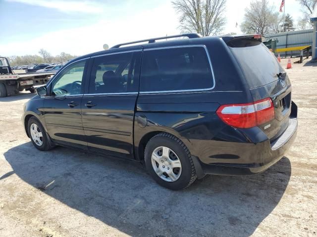 2005 Honda Odyssey EXL