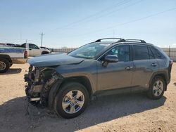 Toyota salvage cars for sale: 2023 Toyota Rav4 XLE