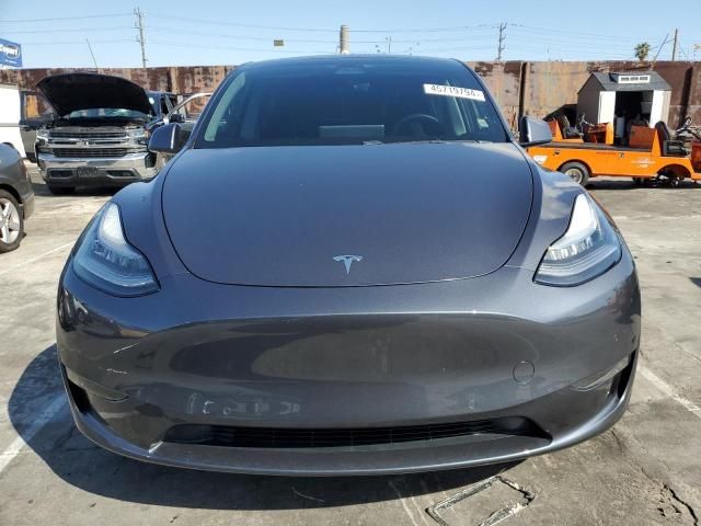 2020 Tesla Model Y