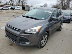 Vehiculos salvage en venta de Copart Bridgeton, MO: 2014 Ford Escape SE