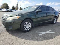 Salvage cars for sale at Rancho Cucamonga, CA auction: 2011 Toyota Camry Base