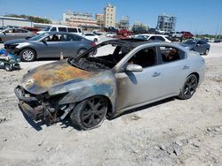 Vehiculos salvage en venta de Copart New Orleans, LA: 2011 Nissan Maxima S