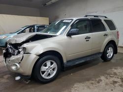 Salvage cars for sale at Davison, MI auction: 2012 Ford Escape XLT