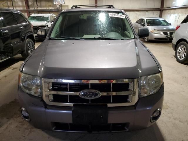 2008 Ford Escape XLT