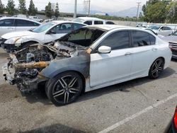 Honda Accord Sport salvage cars for sale: 2017 Honda Accord Sport