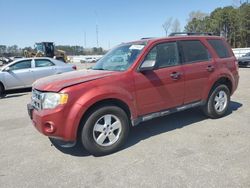 Ford salvage cars for sale: 2012 Ford Escape XLT