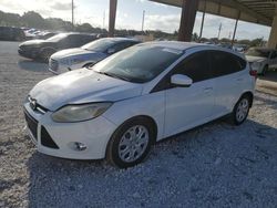 Salvage cars for sale at Homestead, FL auction: 2012 Ford Focus SE