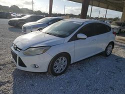 Vehiculos salvage en venta de Copart Homestead, FL: 2012 Ford Focus SE