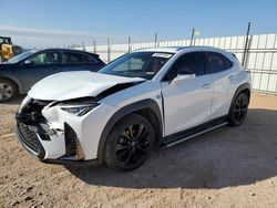 Salvage cars for sale at Andrews, TX auction: 2019 Lexus UX 200