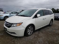 Honda salvage cars for sale: 2016 Honda Odyssey EXL