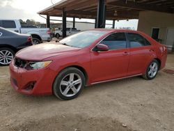 Vehiculos salvage en venta de Copart Tanner, AL: 2013 Toyota Camry L