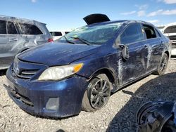 Salvage cars for sale at Reno, NV auction: 2013 Toyota Corolla Base