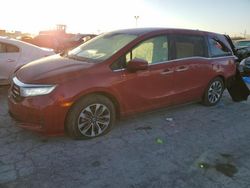 Salvage cars for sale at Indianapolis, IN auction: 2022 Honda Odyssey EXL