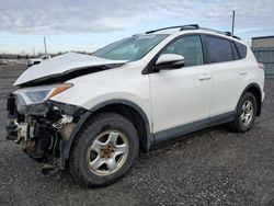 Toyota salvage cars for sale: 2017 Toyota Rav4 XLE