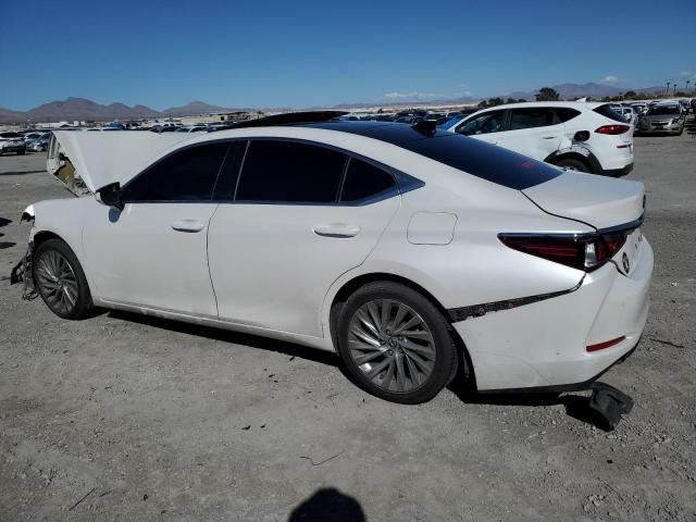 2019 Lexus ES 350