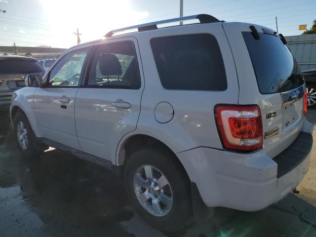 2009 Ford Escape Limited