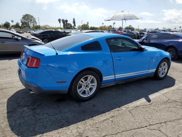 2010 Ford Mustang