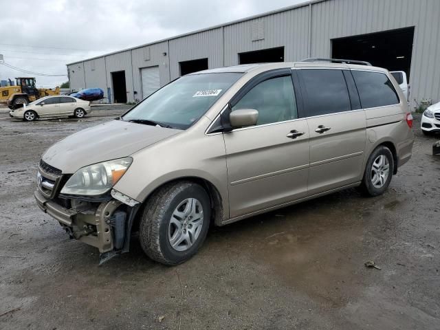 2005 Honda Odyssey EXL