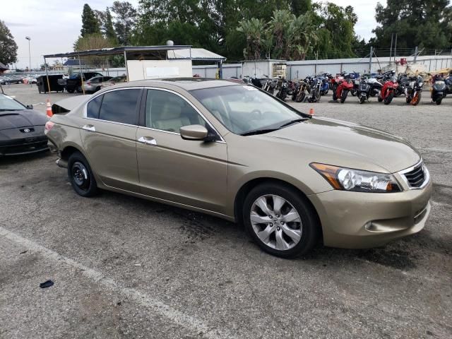 2010 Honda Accord EXL