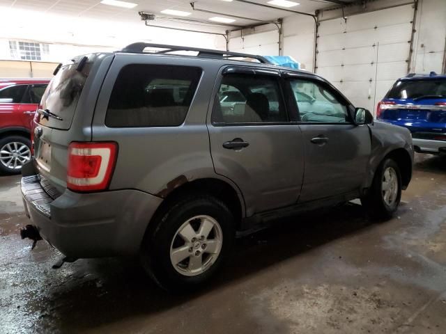 2009 Ford Escape XLT