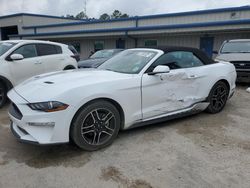Ford Mustang salvage cars for sale: 2023 Ford Mustang