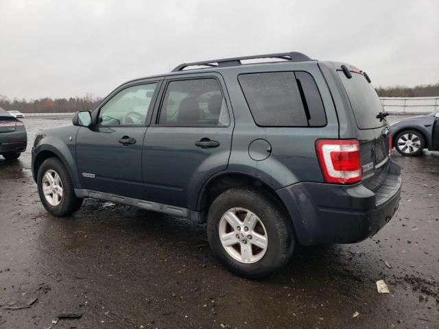 2008 Ford Escape HEV