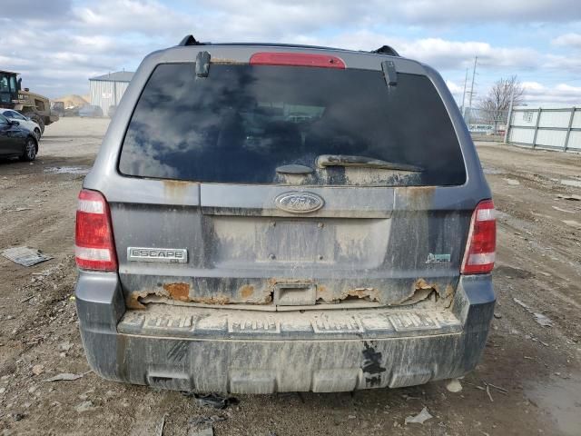 2010 Ford Escape XLT