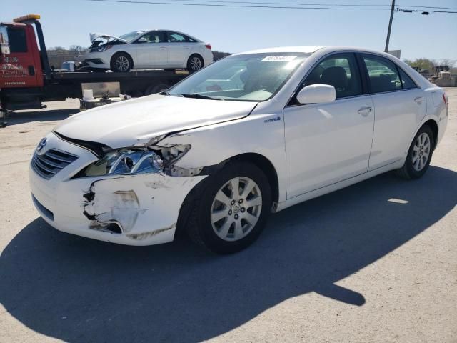 2009 Toyota Camry Hybrid