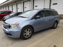 Salvage cars for sale at Lawrenceburg, KY auction: 2012 Honda Odyssey EXL