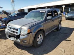 Salvage cars for sale at Phoenix, AZ auction: 2012 Ford Escape XLT